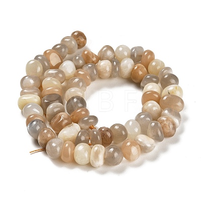 Natural Multi-Moonstone Beads Strands G-G053-C11-01-1