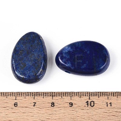 Natural Lapis Lazuli Pendants G-N349-08D-1