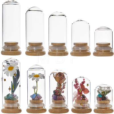SUNNYCLUE 10Pcs 5 Styles Clear Glass Dome Cover CON-SC0001-04-1