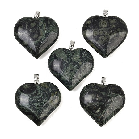 Natural Kambaba Jasper Pendants GG-K002-04G-1