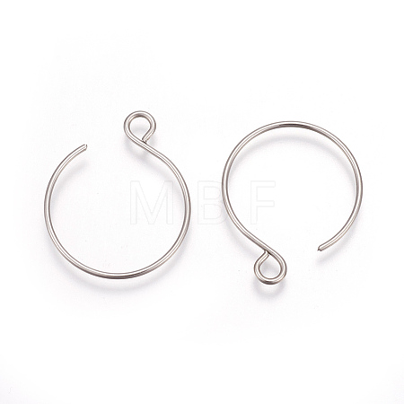 Tarnish Resistant 304 Stainless Steel Earring Hooks X-STAS-L216-02A-P-1