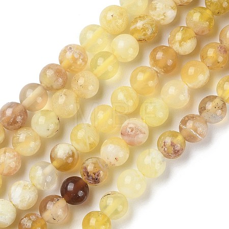 Natural Yellow Opal Beads Strands G-Q1001-A01-01-1