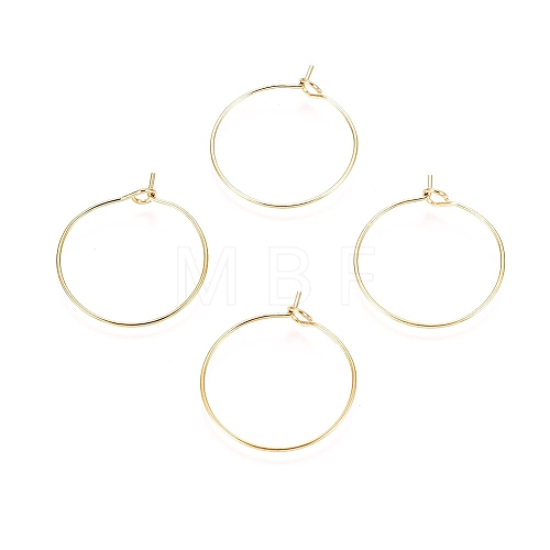 Ion Plating(IP) 316L Surgical Stainless Steel Hoop Earring Findings STAS-D164-02G-A-1