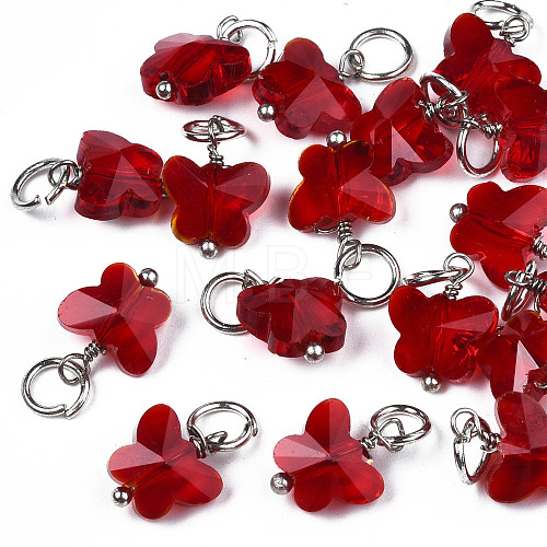 Faceted Transparent Glass Charms GLAA-T024-06I-1