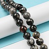 Natural Black Silver Leaf Jasper Beads Strands G-R494-A17-04-4