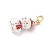 Brass Enamel Pendants KK-H5223-04A-G-2