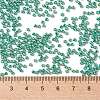 TOHO 11/0 Round Beads SEED-TR11-PF0561-4