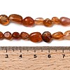 Natural Red Agate Beads Strands G-B161-A01-5
