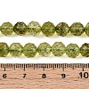 K9 Glass Beads Strands GLAA-N014-8mm-03-4