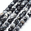 Faceted Natural Fire Crackle Agate Beads Strands G-F447-8mm-B06-1