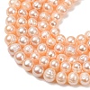 Natural Cultured Freshwater Pearl Beads Strands PA-CBABE82-16-3