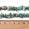 Natural Amazonite Chip Beads Strands G-M205-64-1-2