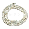 Natural Green Opal Beads Strands G-Z035-A02-01B-3