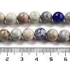 Natural Hackmanite Sodalite Beads Strands G-Z063-A03-02-5