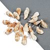 Natural Shell Beads Strands SHEL-K009-12-2