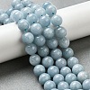 Dyed Natural Malaysia Jade Beads Strands G-G021-02C-20-5