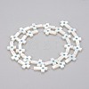 Natural White Shell Mother of Pearl Shell Beads SHEL-K004-01-B-2
