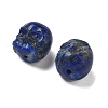 Dyed Natural Lapis Lazuli Beads G-K387-02H-2