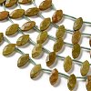 Natural Green Opal Beads Strands G-P607-A08-01-4