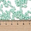 Glass Seed Beads SEED-L011-04A-12-4