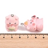 Flocking Opaque Resin Pendants RESI-D024-02P-3