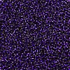 MIYUKI Delica Beads X-SEED-J020-DB0609-3