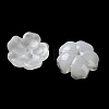 Dyed & Heated Gradient Color Glass Bead Cap GLAA-D307-01L-2