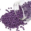MIYUKI Round Rocailles Beads X-SEED-G008-RR4490-1