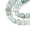 Natural Myanmar Jade Beads Strands G-N353-07F-01-4