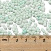 Macaron Color Opaque Frosted Glass Seed Beads SEED-K009-12B-07-4