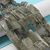 Natural Labradorite Beads Strands G-M420-G05-01-2