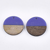 Resin & Walnut Wood Pendants X-RESI-S358-02D-10-2