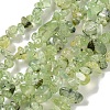 Natural Prehnite Beads Strands X-G-P332-41A-1