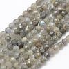 Natural Labradorite Beads Strands G-P322-30-4mm-1