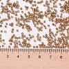 Cylinder Seed Beads SEED-H001-G17-2