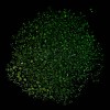 Luminous Glass Seed Beads X1-SEED-A033-07N-5