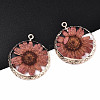 Transparent Clear Epoxy Resin & Dried Flower Pendants RESI-S383-076A-A01-3