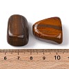 Natural Tiger Iron Beads G-K302-A16-5