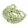 Natural Prehnite Beads Strands X-G-P332-41A-2