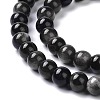 Natural Silver Obsidian Beads Strands X-G-D083-01D-3