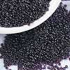 MIYUKI Round Rocailles Beads X-SEED-G009-RR0171-1