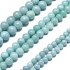 Natural Malaysia Jade Beads Strands G-L645-A01-14mm-25-3
