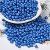 6/0 Opaque Baking Paint Glass Seed Beads SEED-M012-02A-03-1