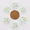 Transparent Acrylic Beads TACR-S154-45C-327-3