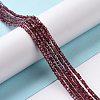 Natural Garnet Beads Strands X-G-P457-B01-22-A-4