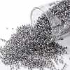 TOHO Round Seed Beads SEED-JPTR15-0266-1