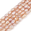 Natural Cultured Freshwater Pearl Beads Strands PEAR-P064-20H-02D-2