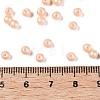 Glass Seed Beads SEED-T007-01A-4