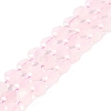 Natural Rose Quartz Beads Strands G-N342-07-1