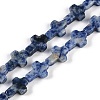 Natural Blue Spot Jasper Beads Strands G-I369-A03-01-1